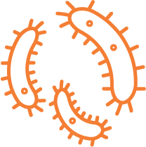 Icon 1
